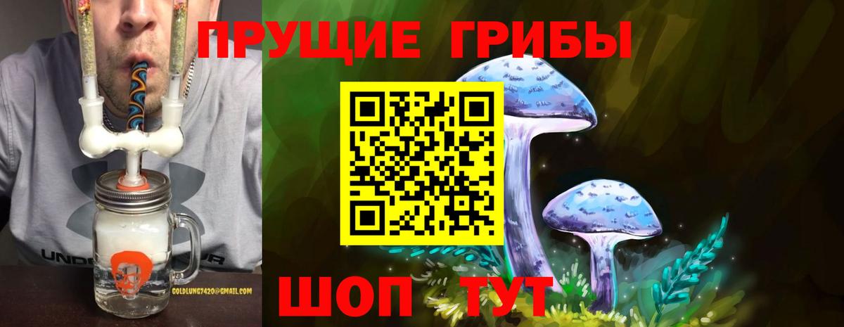 Галлюциногенные грибы Cubensis Красноярск